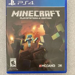 Minecraft EMPTY CASE