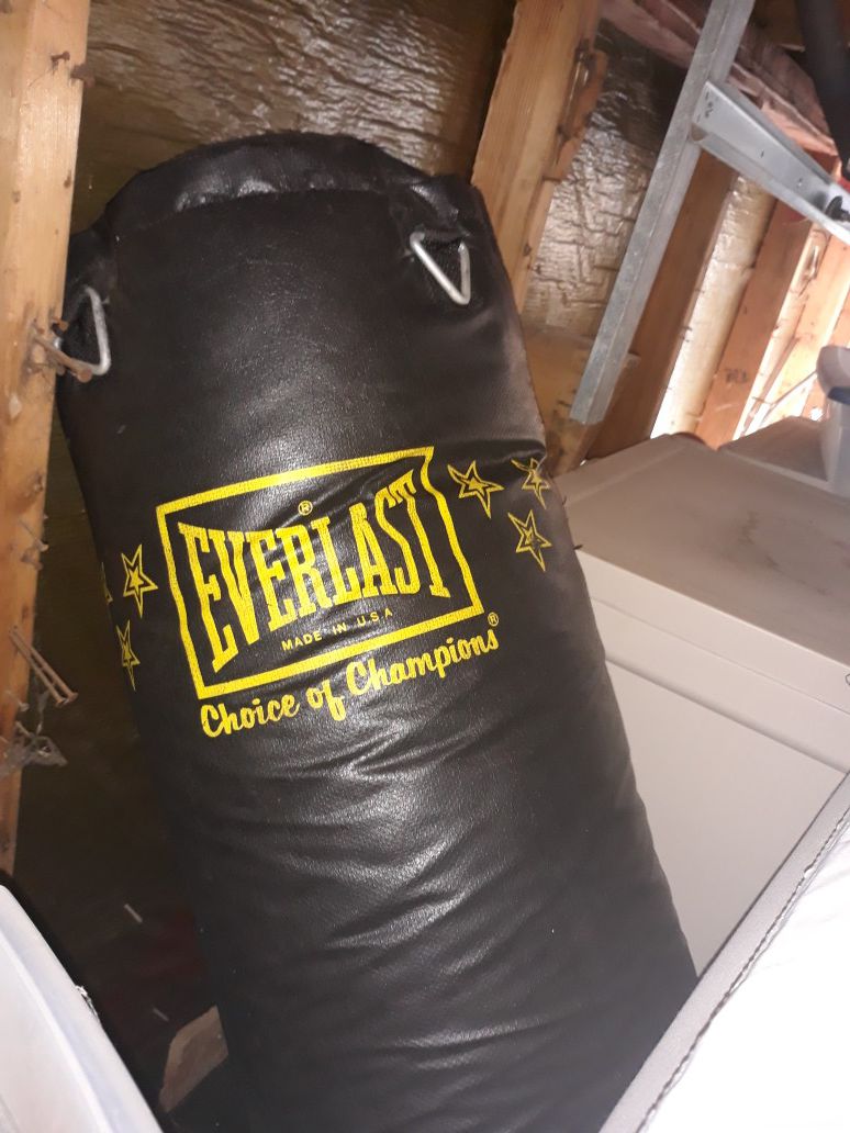 Professional punching bag and speed bag stand with chains and Everlast bag