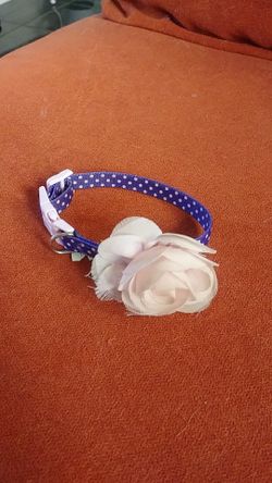 Dog/cat xxs necklase