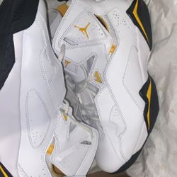 Jordan12 True flights 