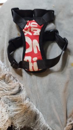 Small Dog Harness