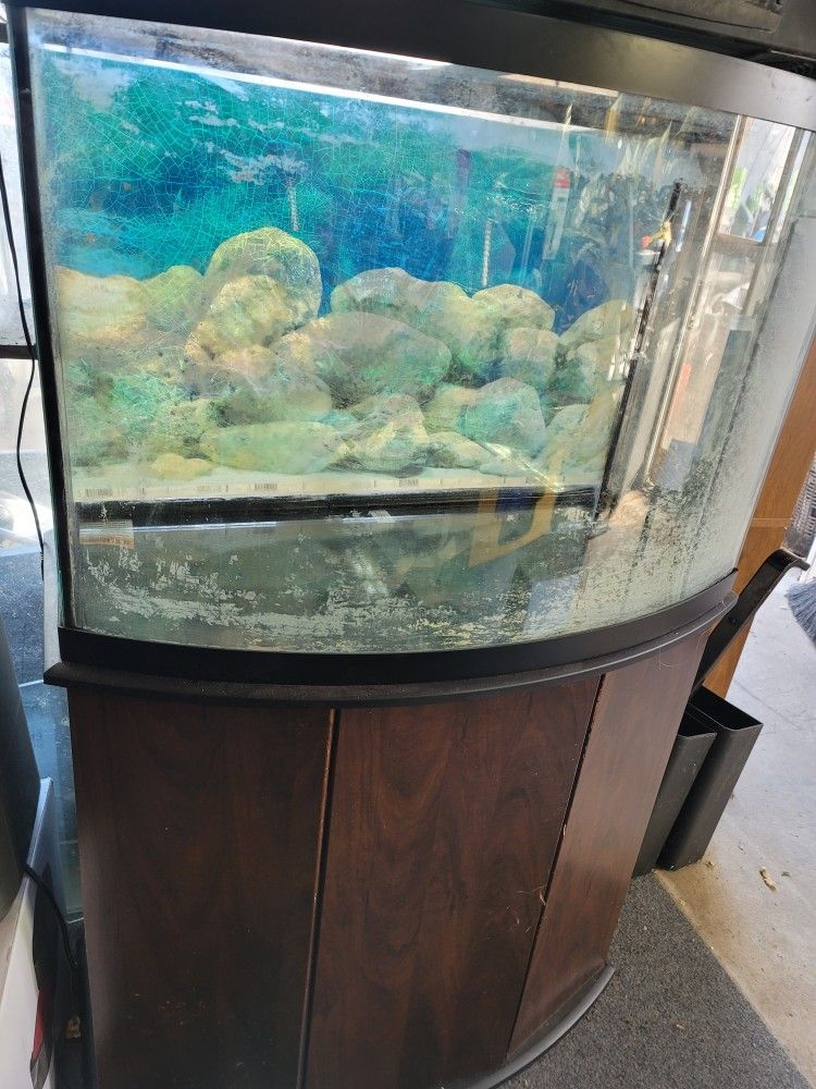 36 Gallon Bowfront Fish Tank Aquarium