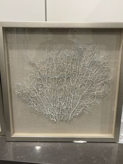 Coral in frames