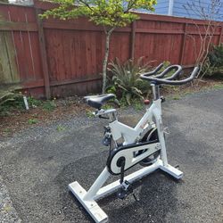 Sunny Exercise Bike