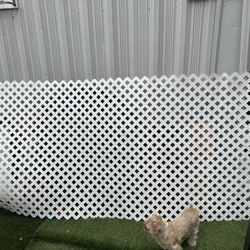 Lattice Fence