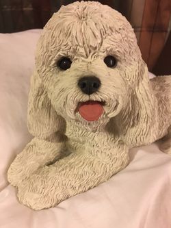 Sandicast bichon frise dog