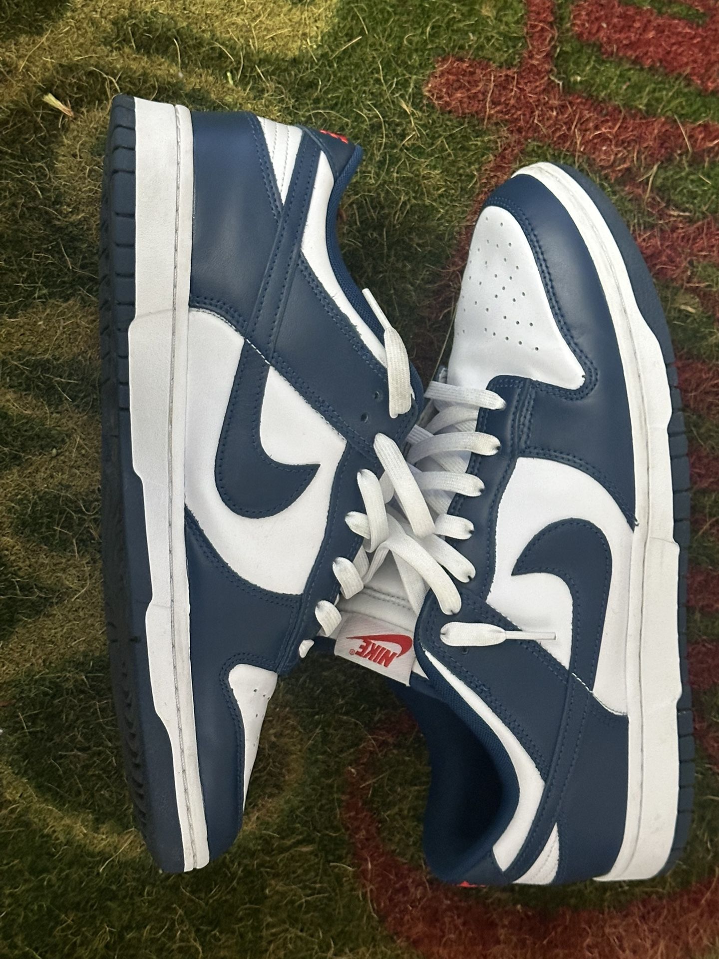 Nike Dunk Low Velarian Blue/White Size 12M