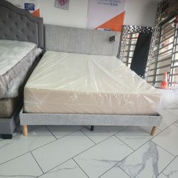 Queen Sizes Bed With Mattress 
