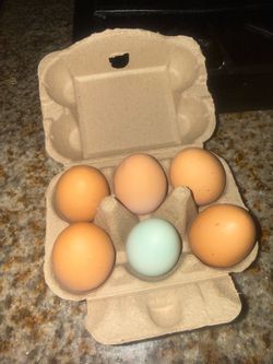 Eggs