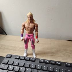 Wwe Action Figure 
