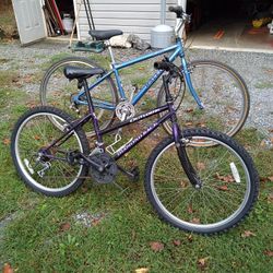 24 ". Diamondback. 29" Raleigh  Both MTB. for. 200.00 