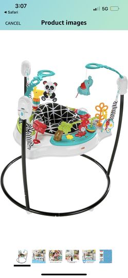 Fisher Price Baby Bouncer