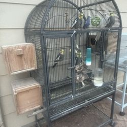 Cage Bird 