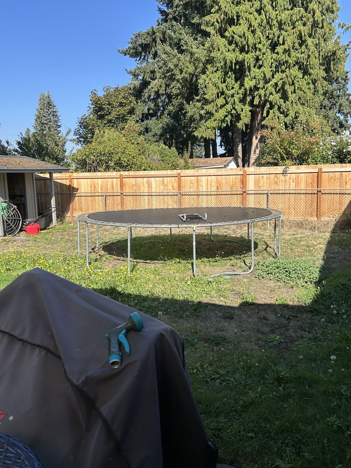 Trampoline