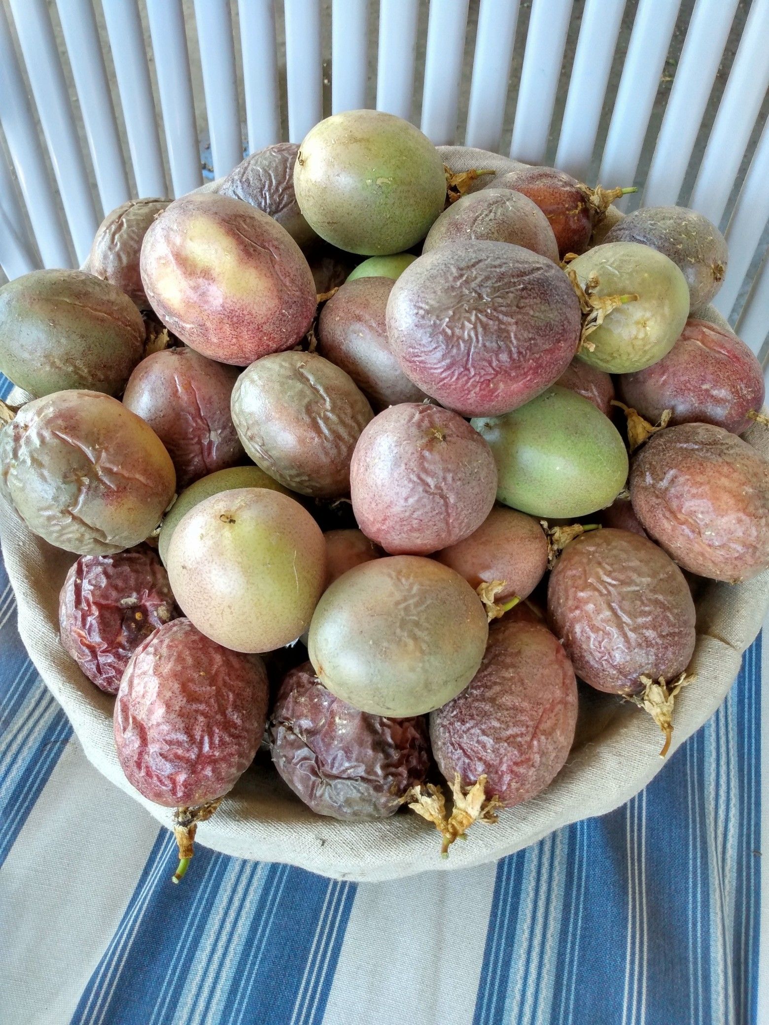 Passion fruits: $.50 for each fruit