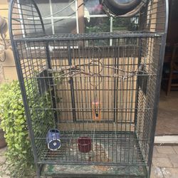 Bird Cage 