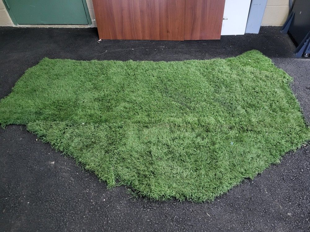 Artificial Grass
