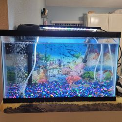 10 Gallon Fish Tank With Everything Included 