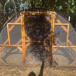 Large Chicken Coop