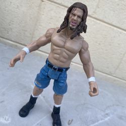 WWE Action Figure : Raven