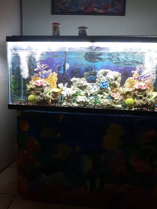 Fish Tank  55 Gallon  2 Led Lamp  3 Coral Table 3 Filter Canister 200 Gallon