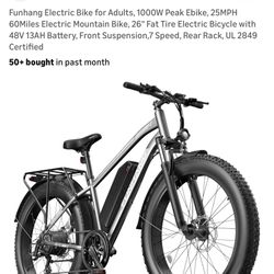 FUNHANG Fat Tire EBike EB-S1
