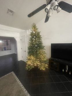 Christmas Tree 