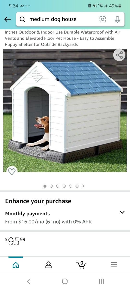 Dog House