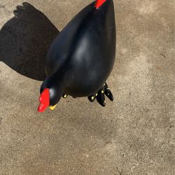 Gallina Para Escribir Mensajes Con Un Gis