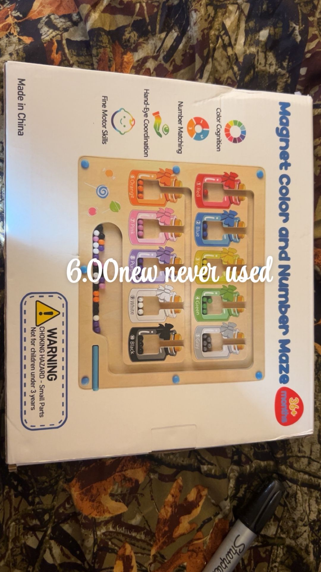 Magnet And Color Maze