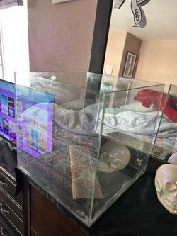 14 gallon rimless fish tank