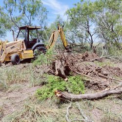 Land Clearing 