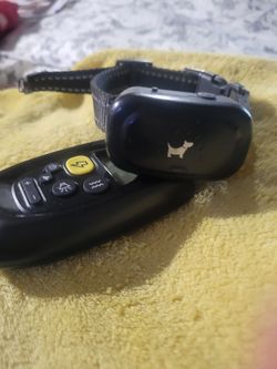 Dog Shock Collar W Remote