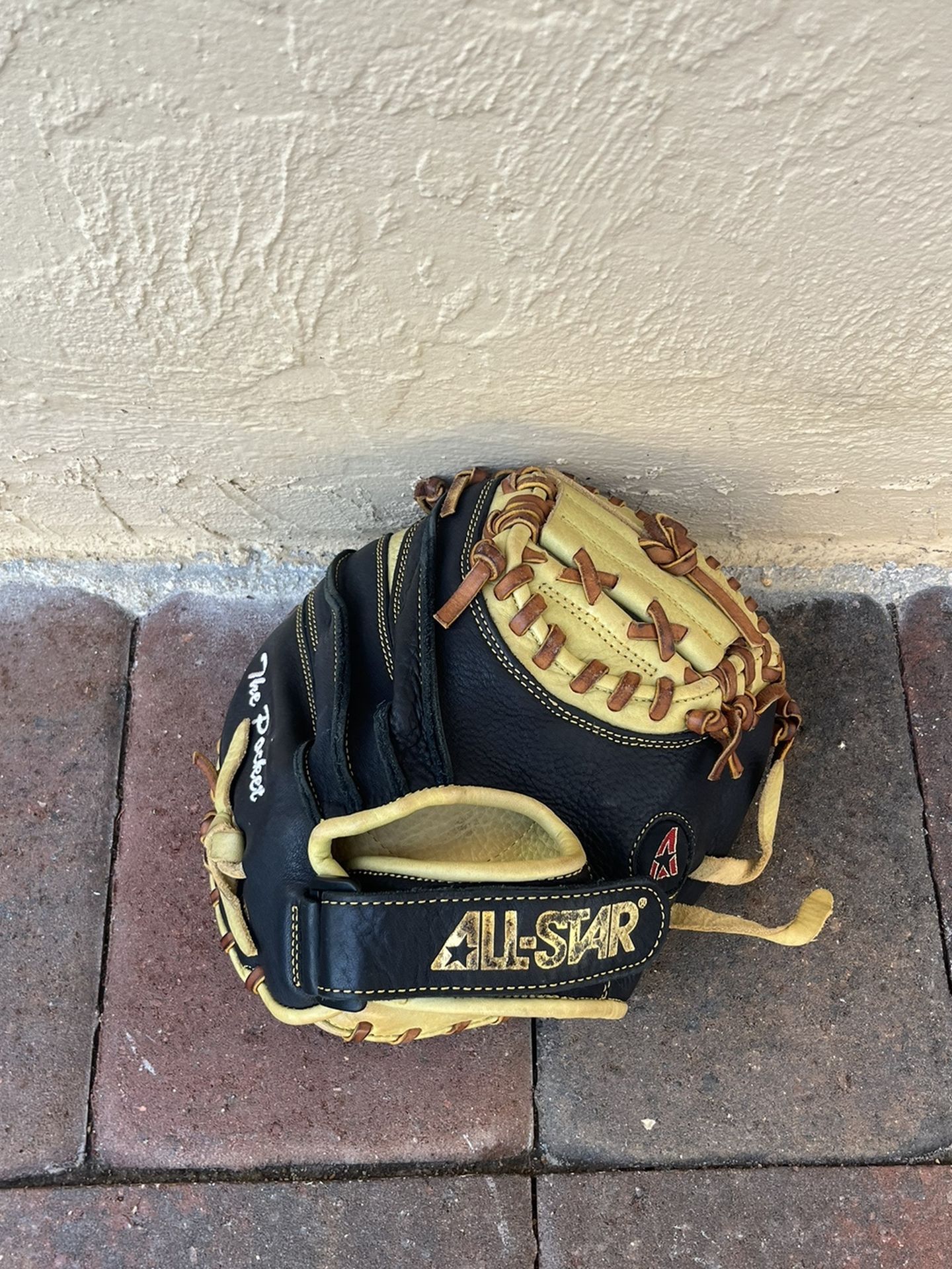 Training Catchers Mitt