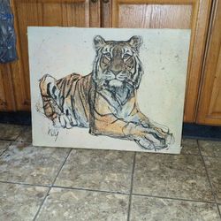 Reclining  🐅Tiger