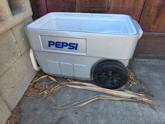 Small Cooler
