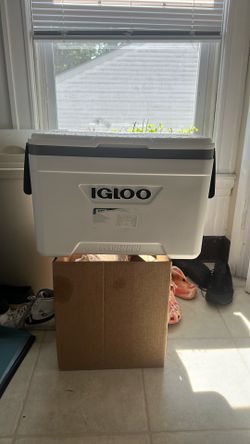 Igloo Cooler