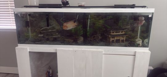 120 gallons
