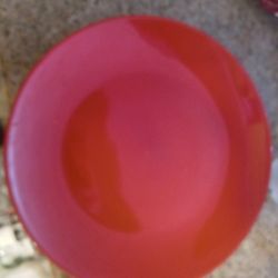 Plate's