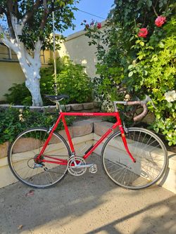 Vintage Schwinn Paramount Series 2 PDG Road Bike 1980s 1990s