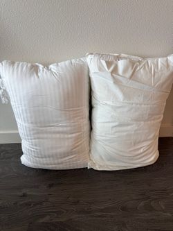 Two Pillows and Vases — FREE