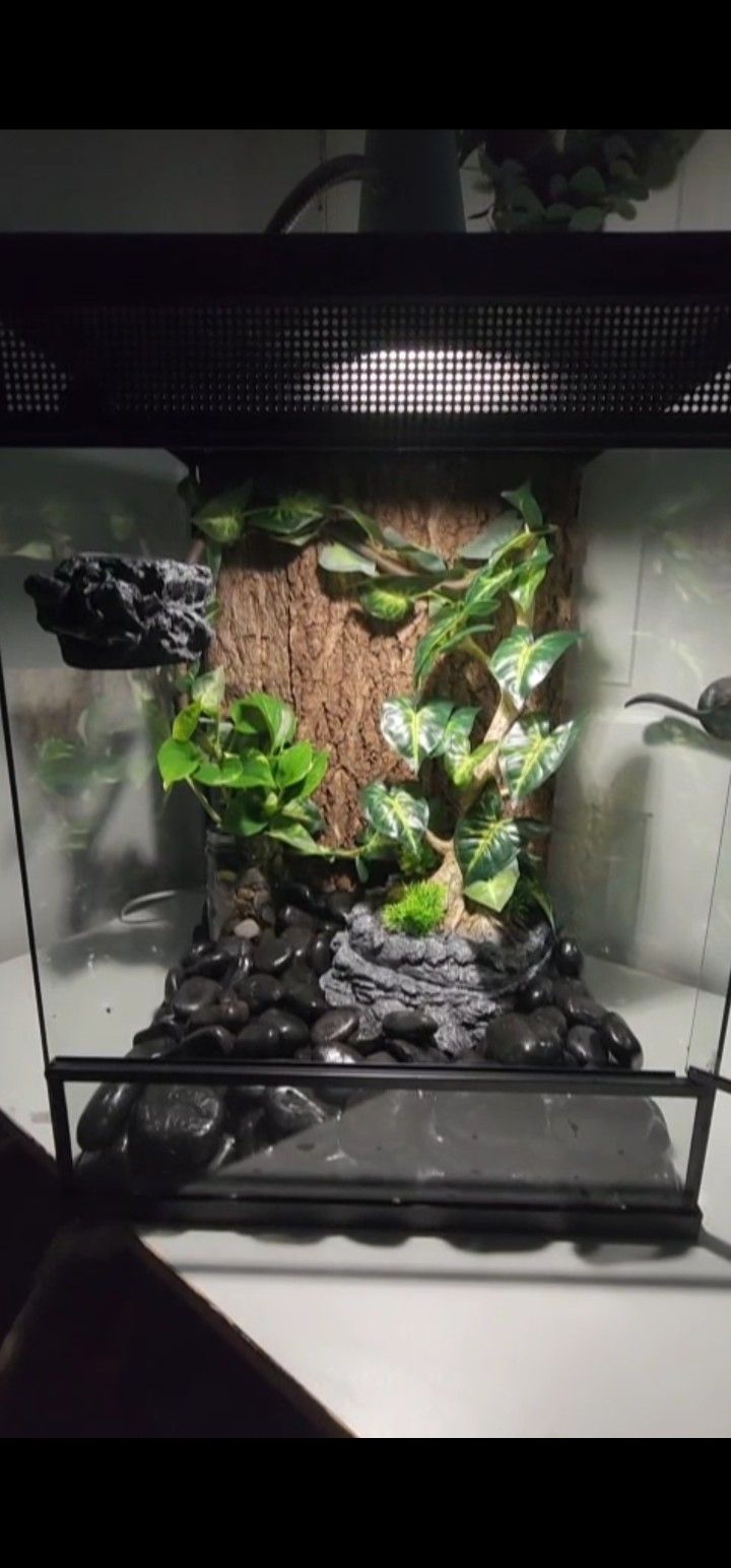 Reptile Terrarium
