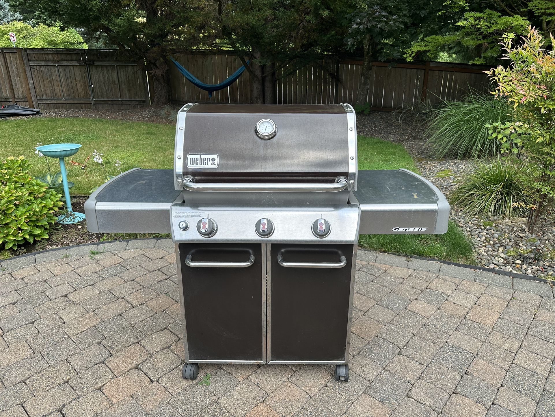 Weber Gas BBQ Grill