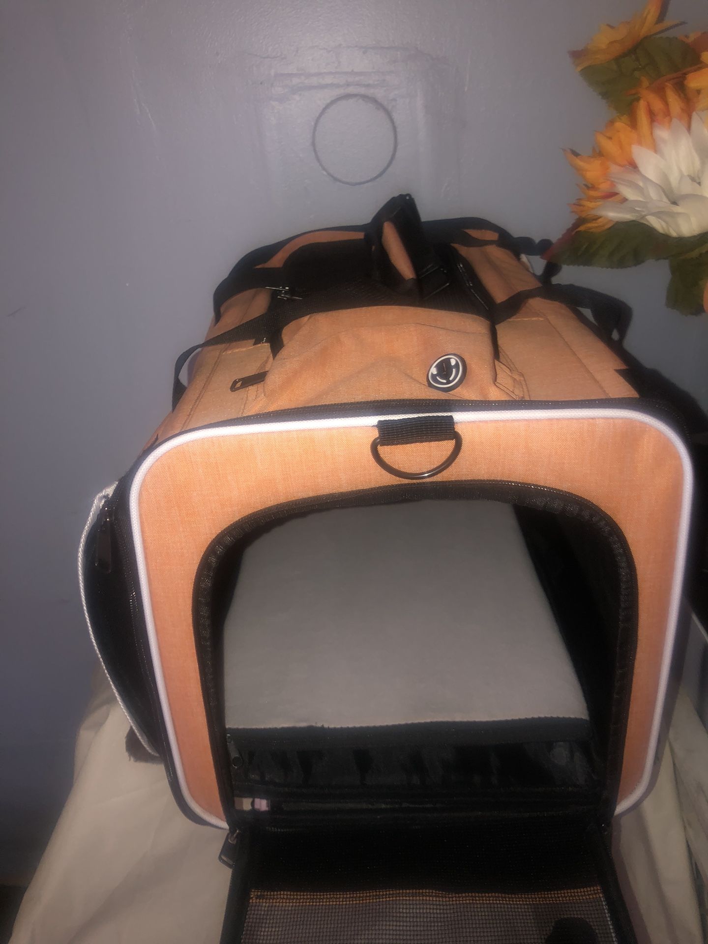 Pet carrier travel Backpacks for small dog/cat / Jaula/ bolso para perros o gatos sizes CH