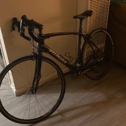 Specialized Roubaix Elite.