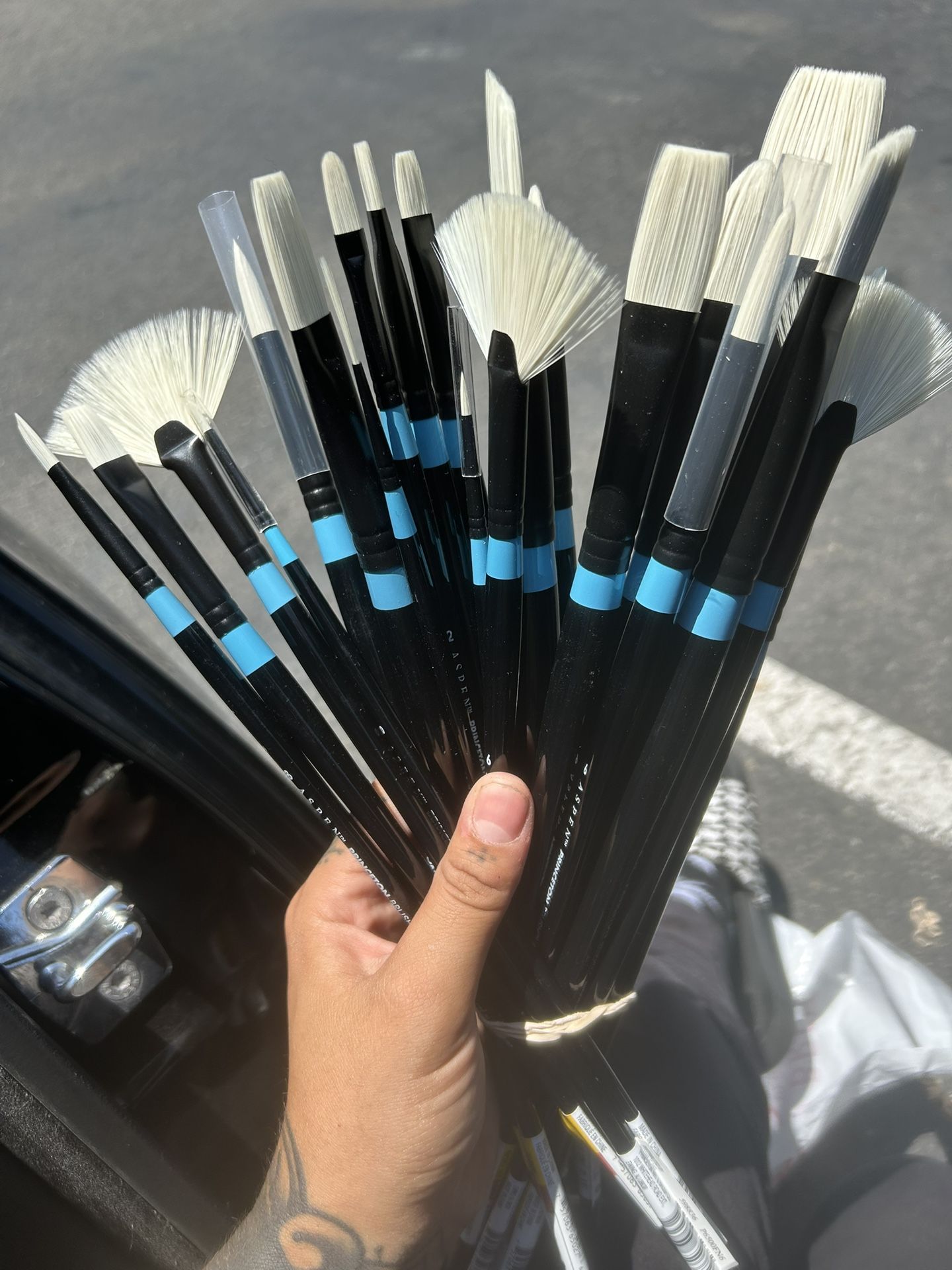 Brand New Oil Brushes For Paint