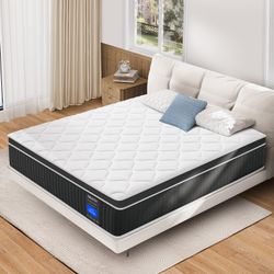 King Mattress Deals Today!
