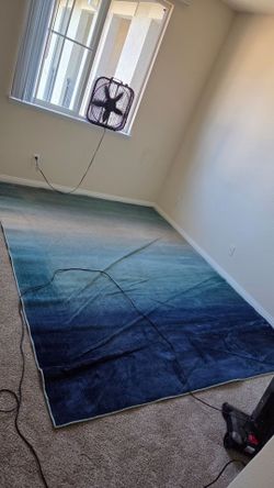 Dirty area rug