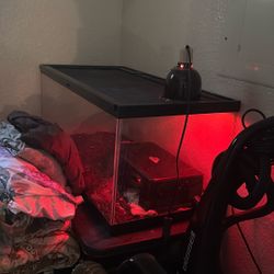 Snake Cage