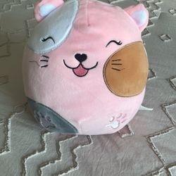 Cute Kitty Plushy